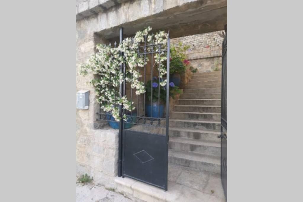 Appartement de charme à Olmeto Olmeto  Exterior foto